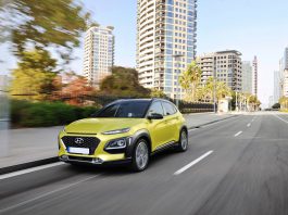 Hyundai Kona Kapak