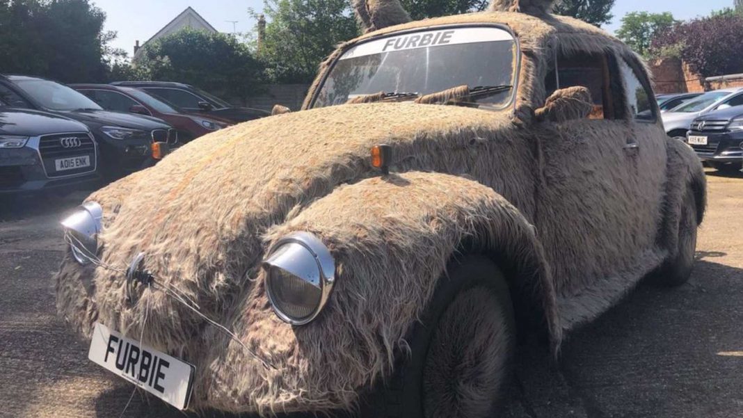 VW Furbie