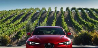 Alfa Romeo Giulia GTAm ve Quadrifoglio Arasındaki 3 Fark