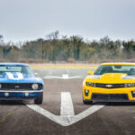 American Muscle Cars