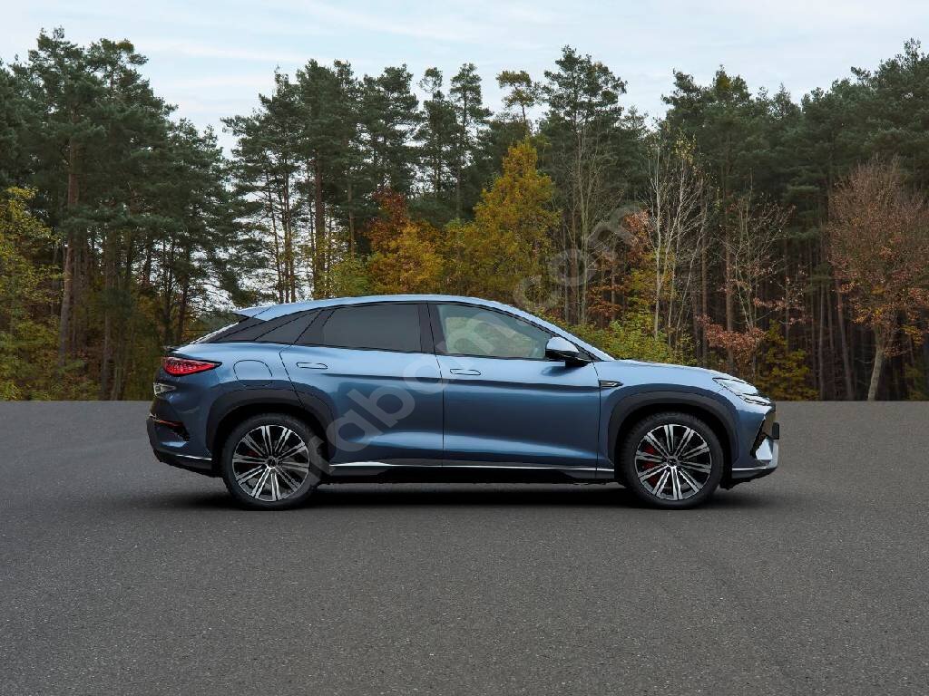 BYD SEALION